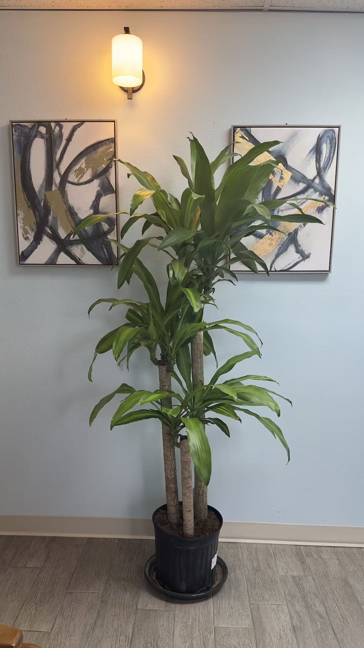 Relaxing interior decor at 8 Massage